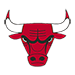 Bulls Logo
